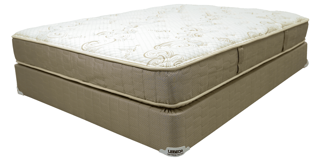 Paradox Pillow Plush Lebeda Mattress Factory